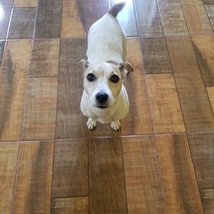 Meet your Posher, Debbie